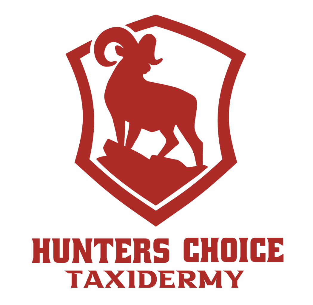 Hunters Choice Taxidermy logo