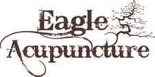 Eagle Acupuncture logo