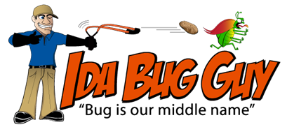 Ida Bug Guy logo