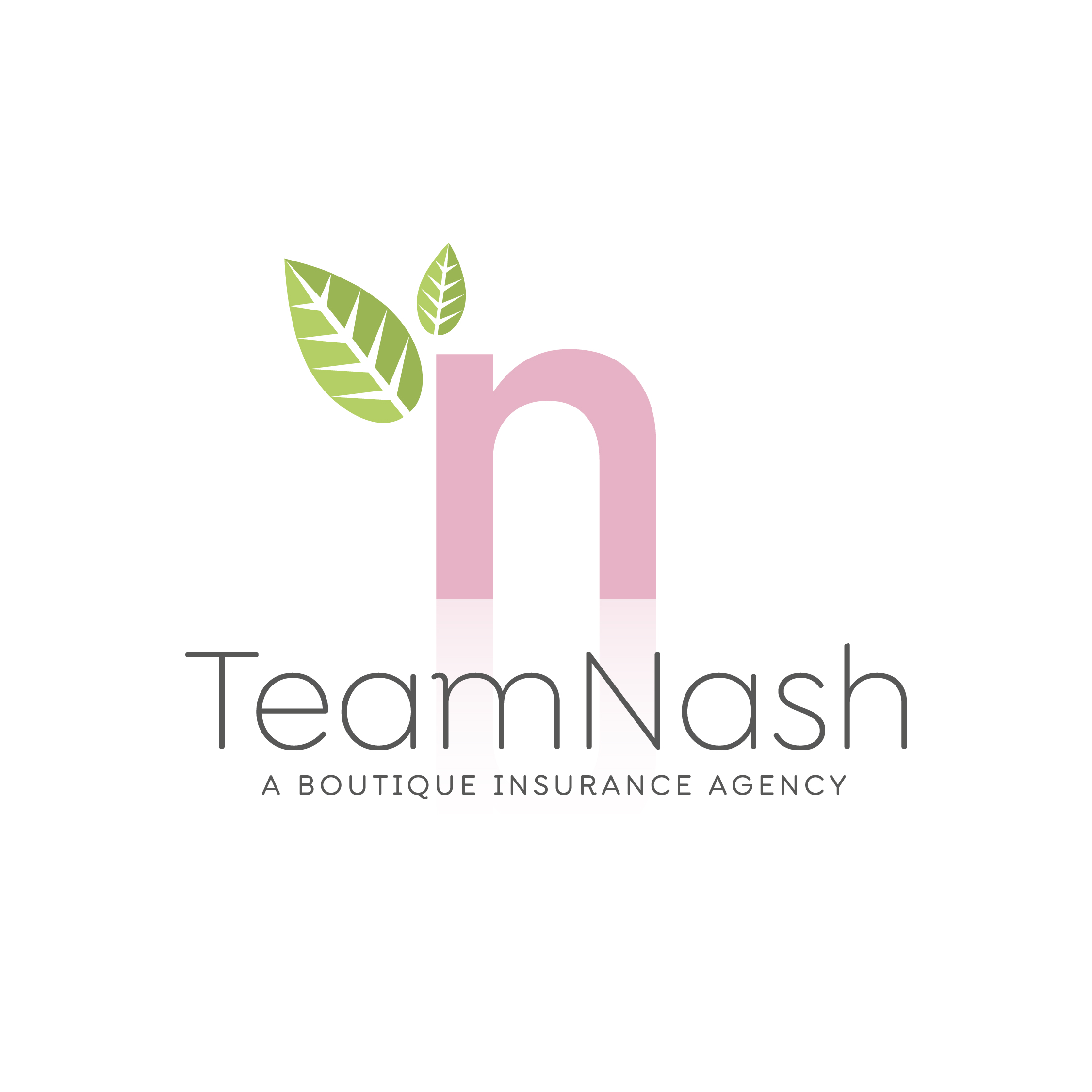 Team Nash logo