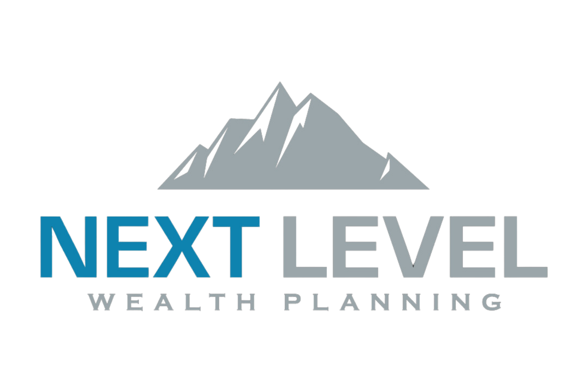 Next Level Wealth Planning logo