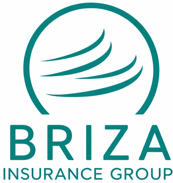Briza Insurance Group logo
