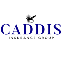 Caddis Insurance Group logo