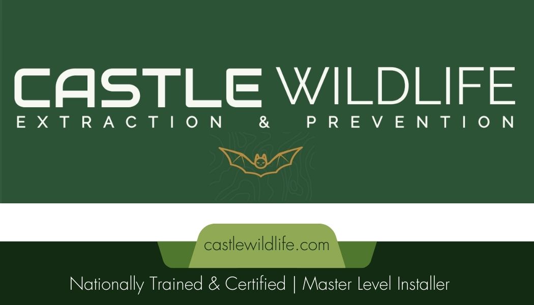 Castle Wildlife & Specialty Services logo