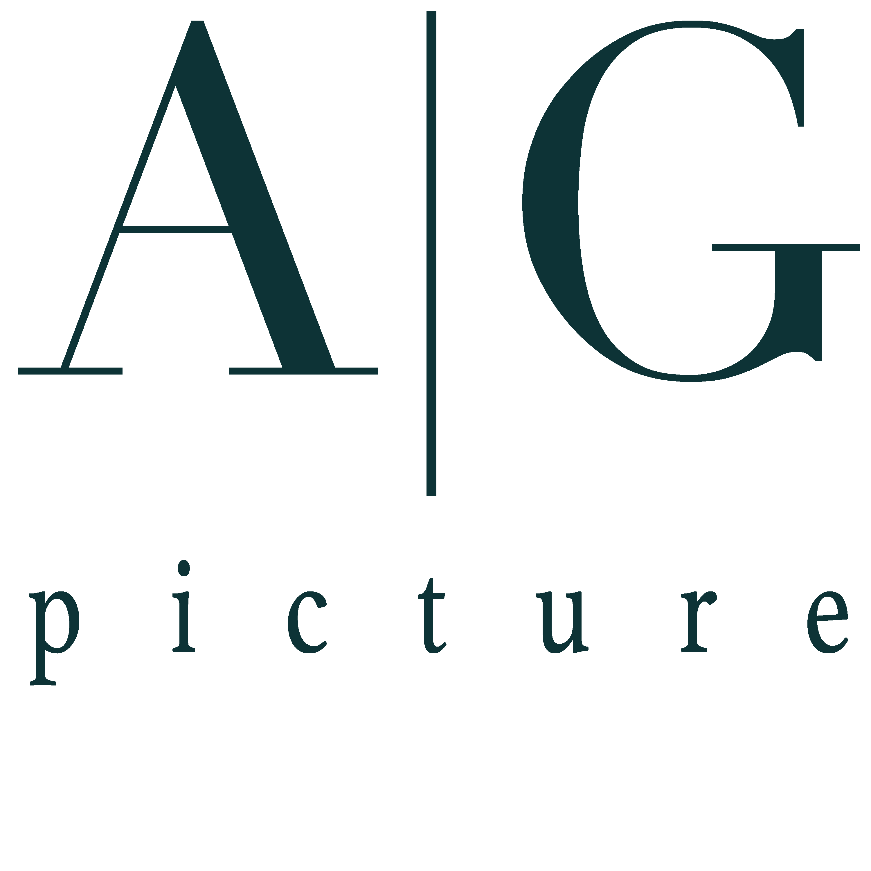 AGPicture logo