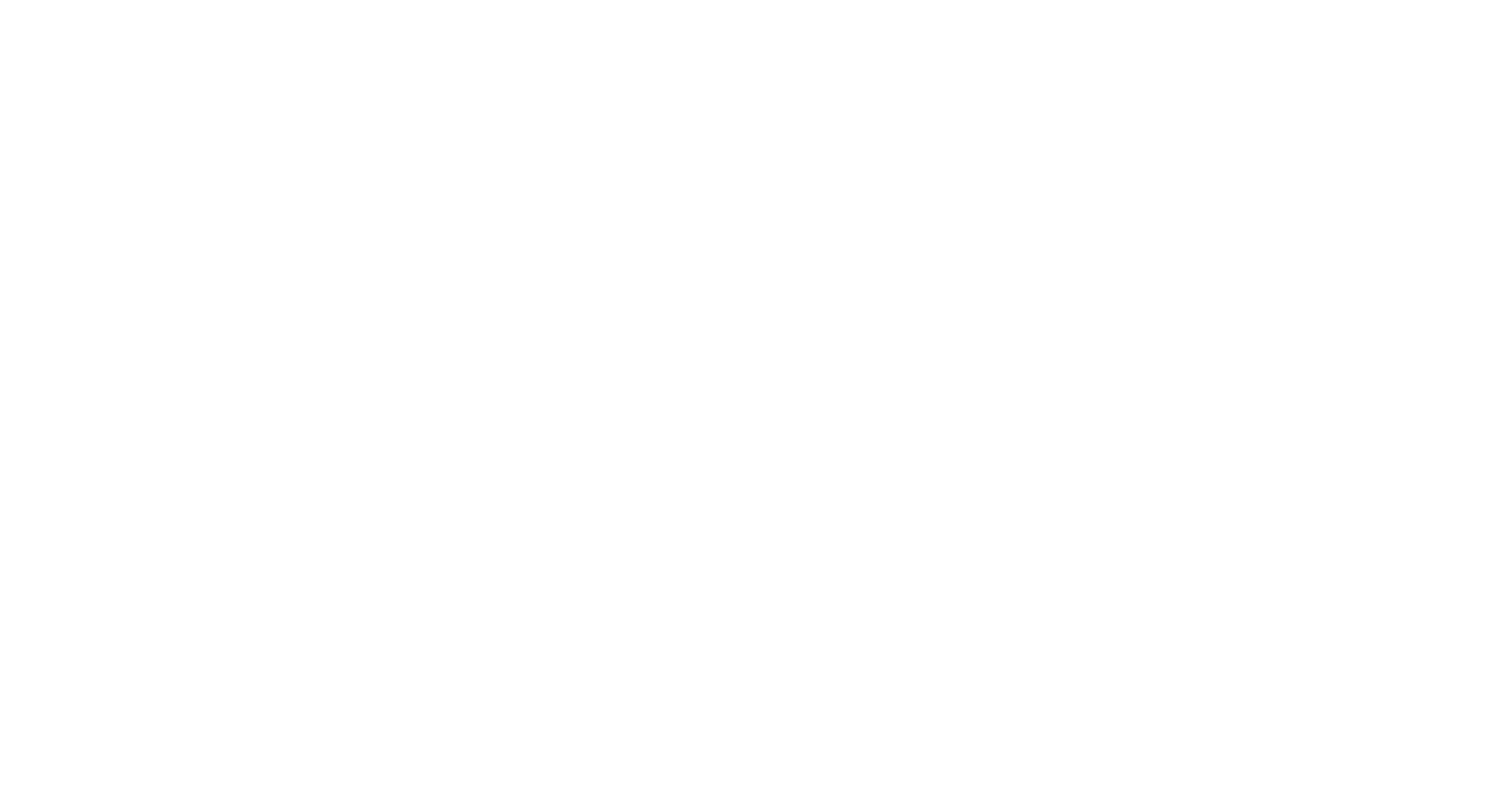 DevelUpLeaders logo
