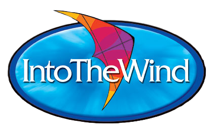 Into The Wind logo