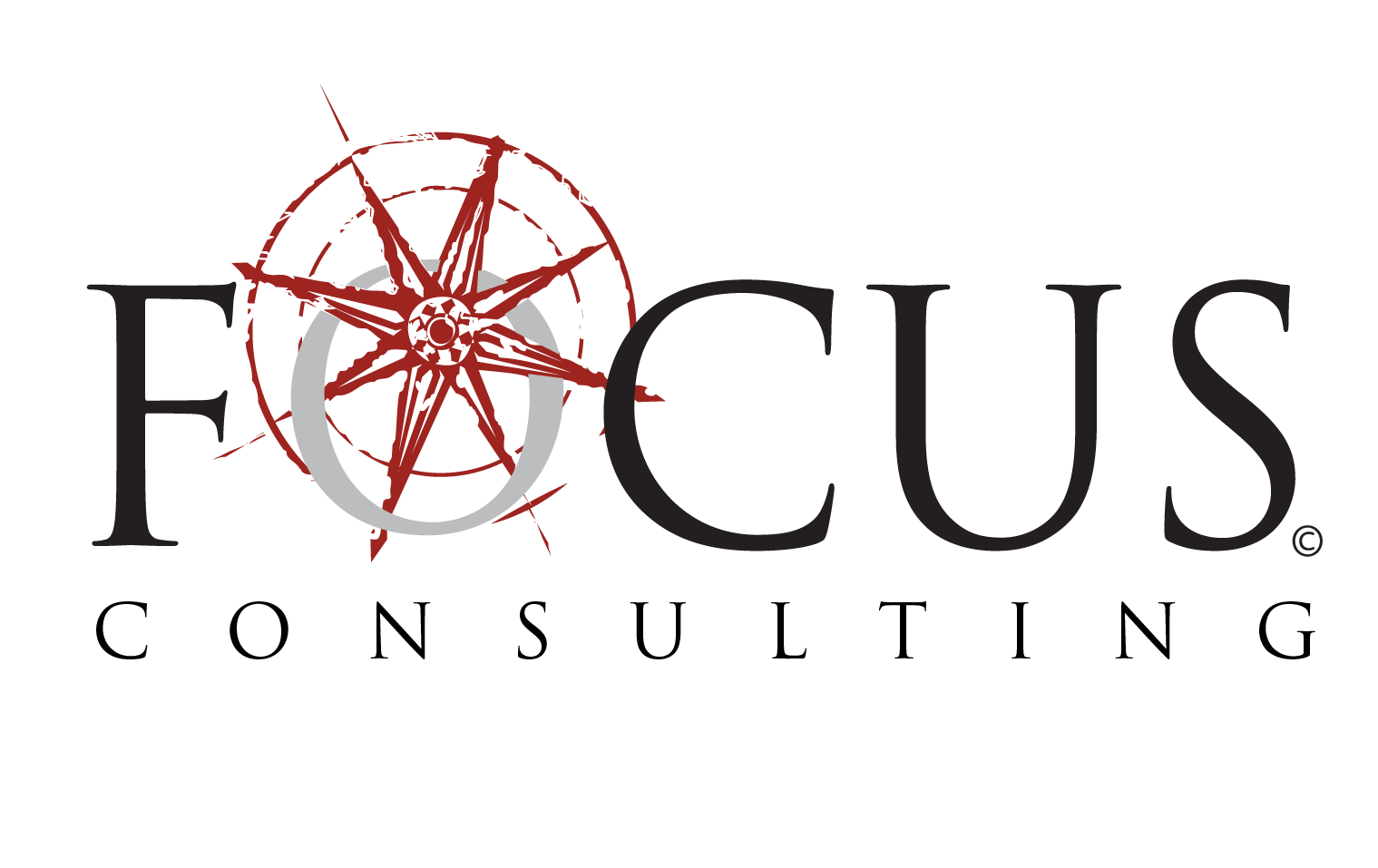 FOCUS Engineering & Surveying logo