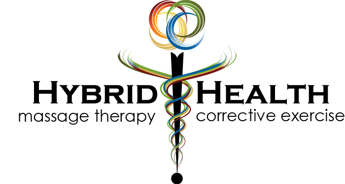 Hybrid Health logo