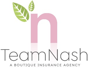 Team Nash logo