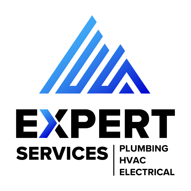 Expert Services logo