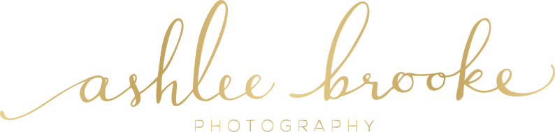 Ashlee Brooke Photography logo