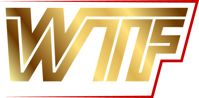 Window Tint Fellas logo
