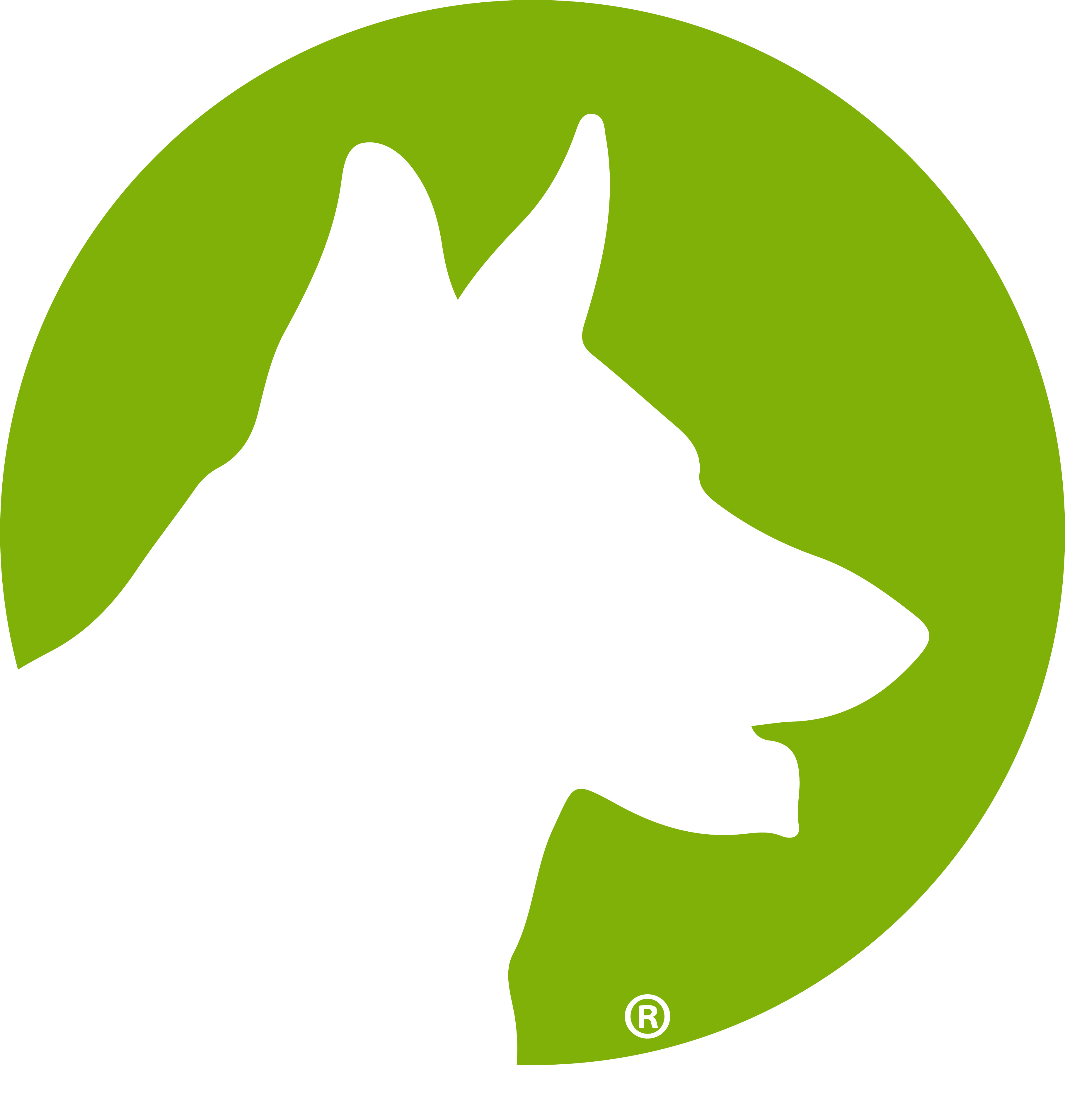 Dogtown Pet Spa logo