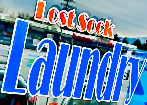 Lost Sock Laundry logo