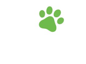 Brush Bath and Beyond logo