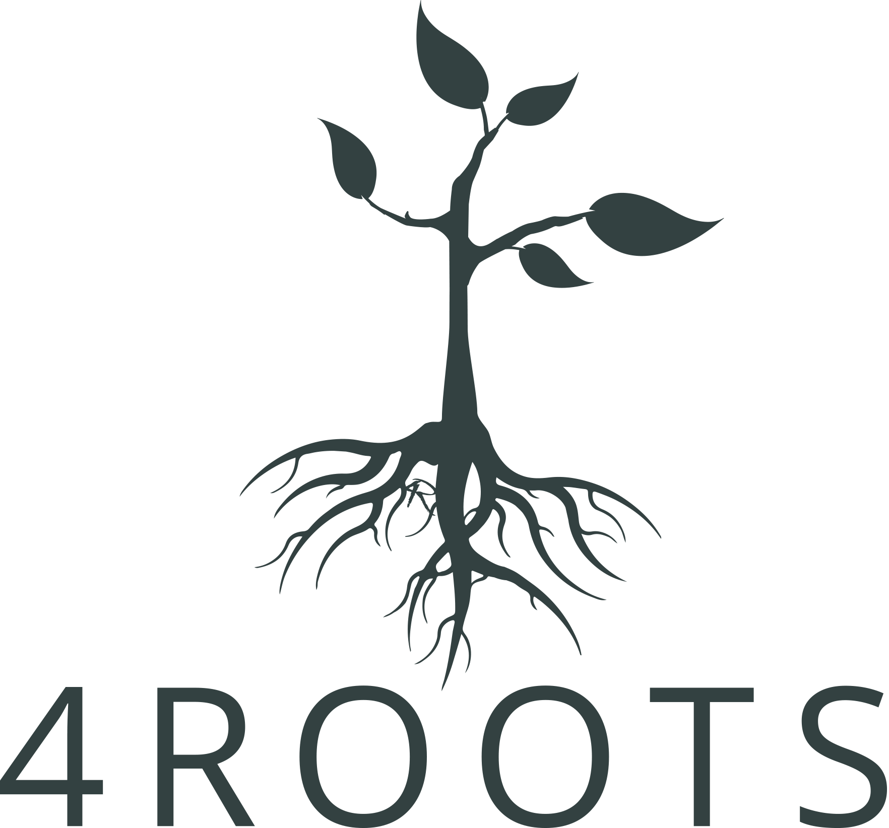 4Roots Foundation logo