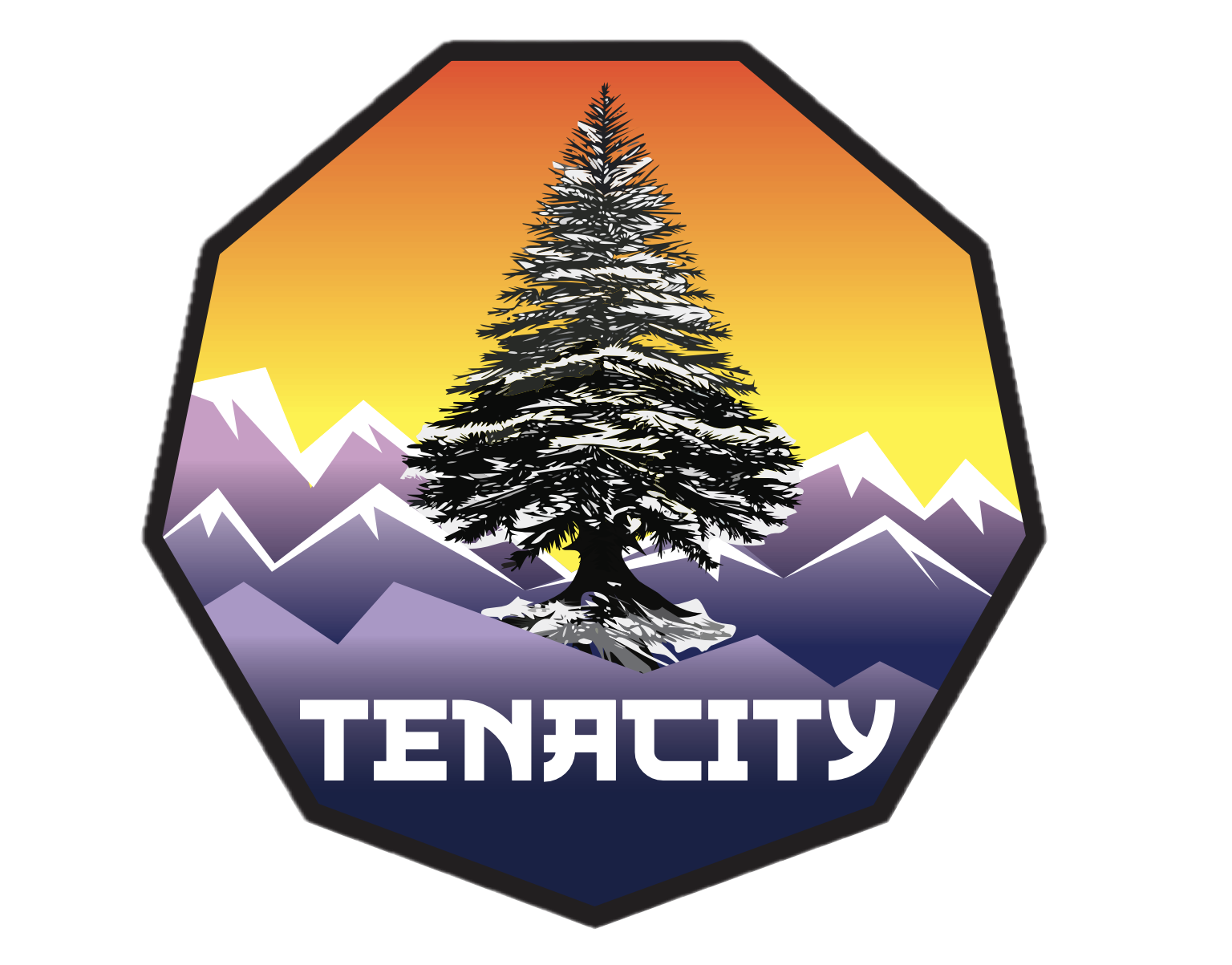 Tenacity Martial Arts logo
