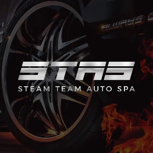 Steam Team Auto Spa logo