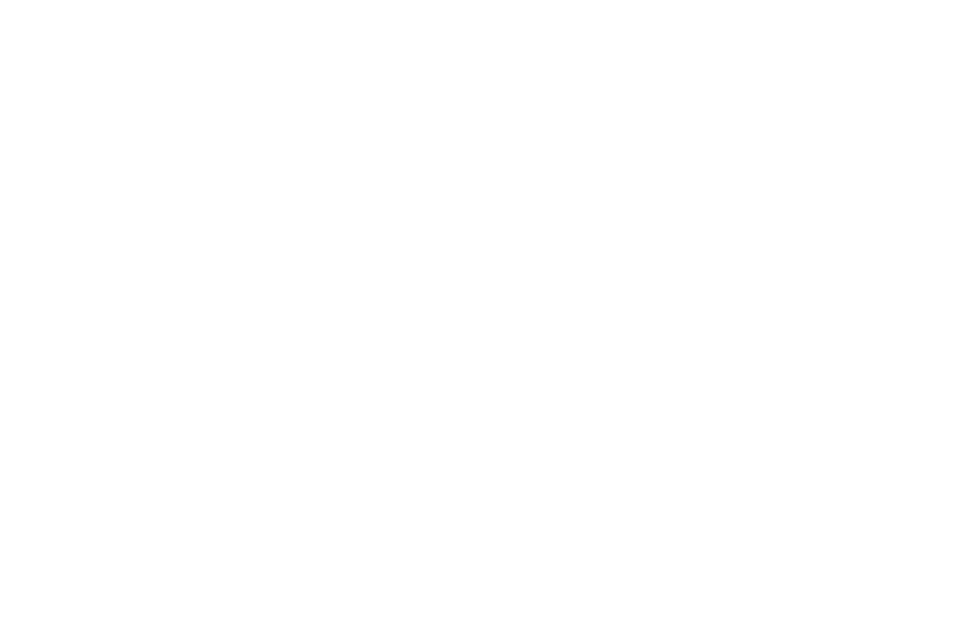 Black Diamond Landscape and Lighting logo