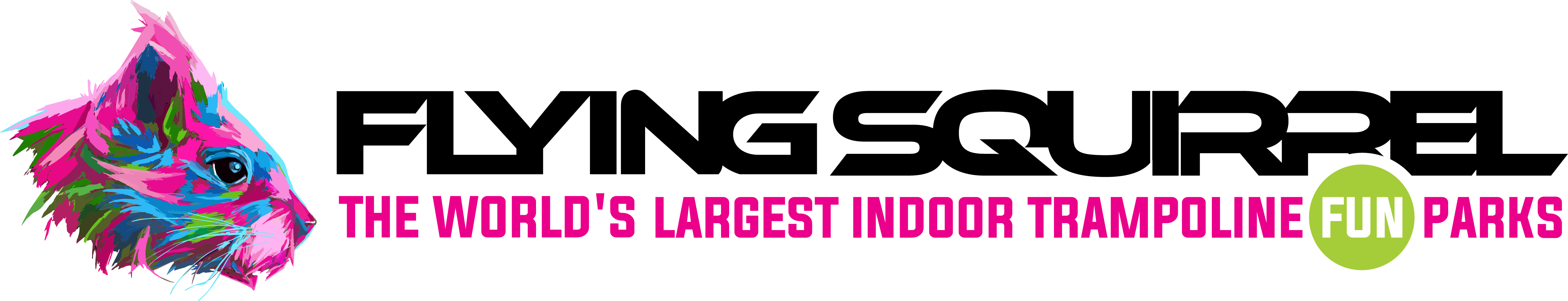 Flying Squirrel logo