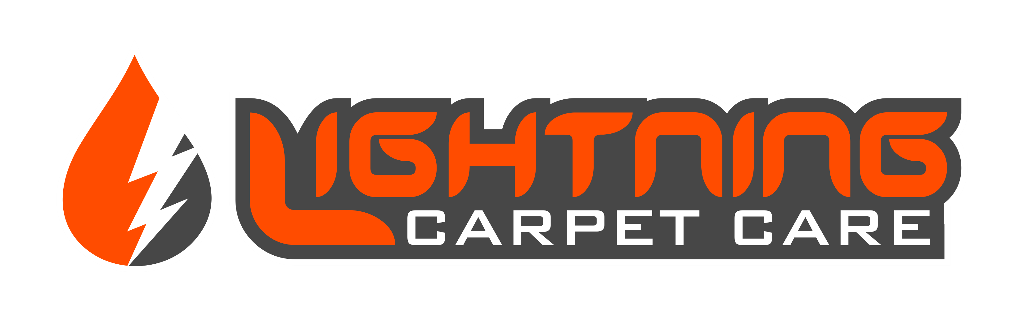 Lightning Carpet Care logo