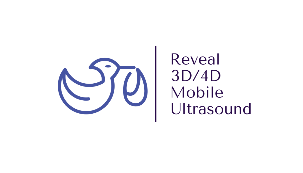 Reveal 3D/4D Mobile Ultrasound logo
