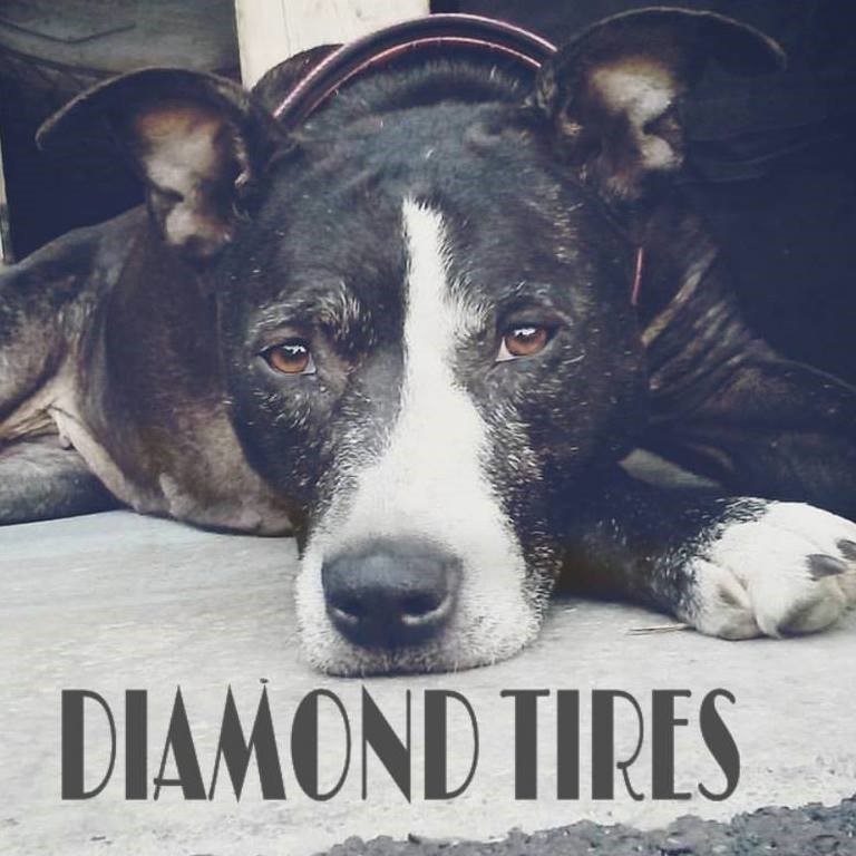 Diamond Tires logo