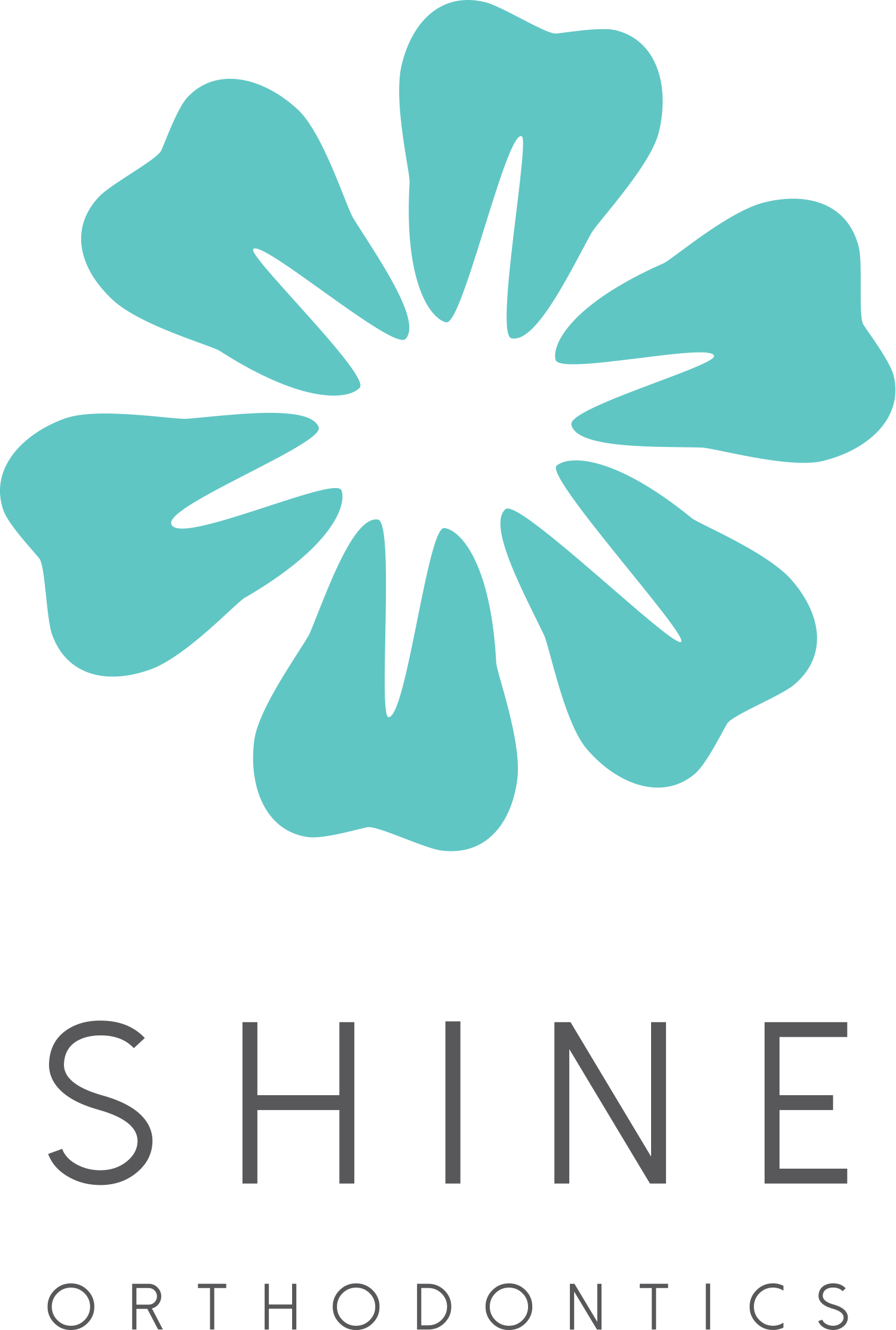 Shine Orthodontics logo
