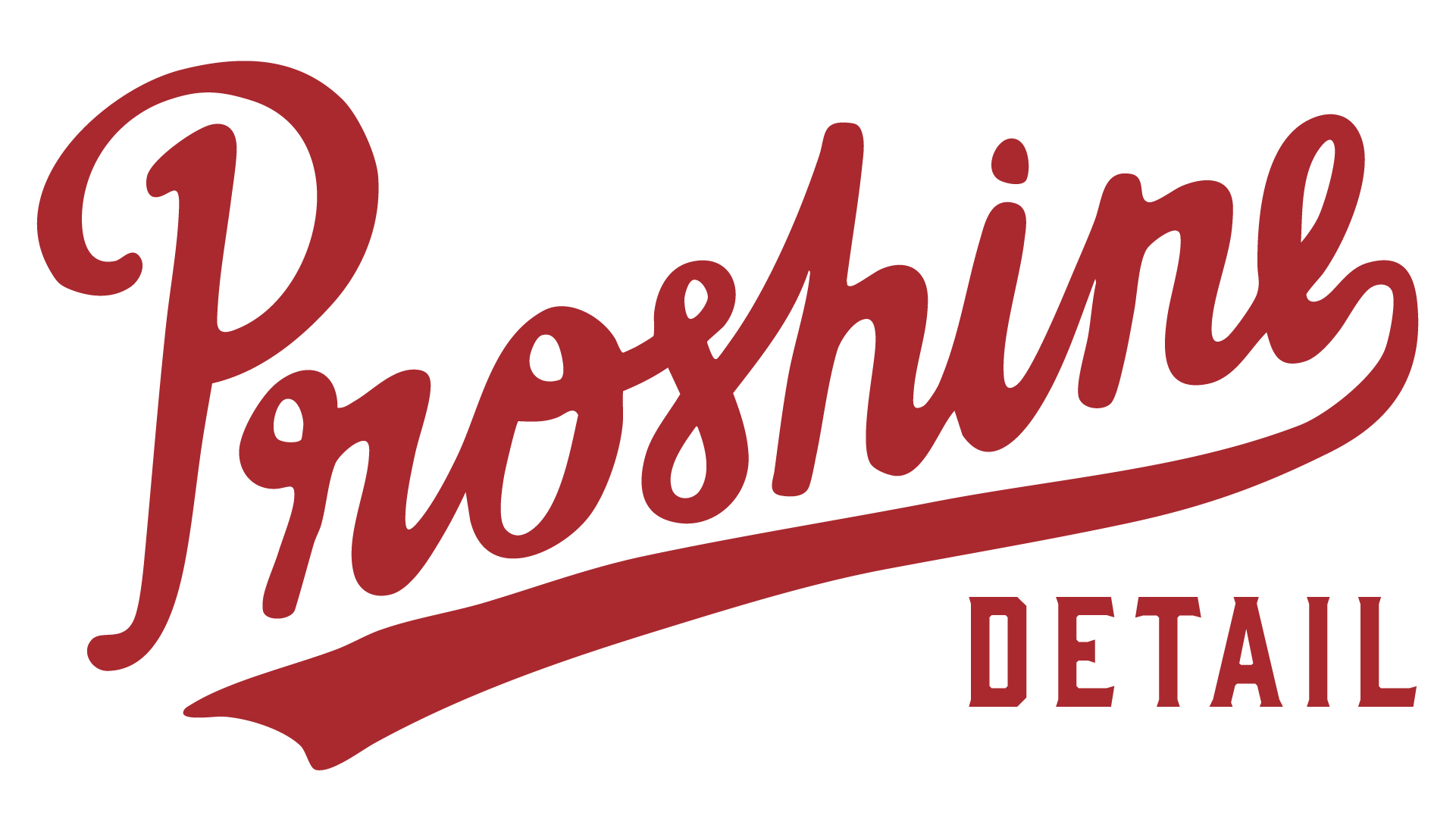 Pro Shine Detail logo