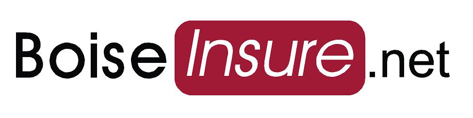 BoiseInsure.net logo