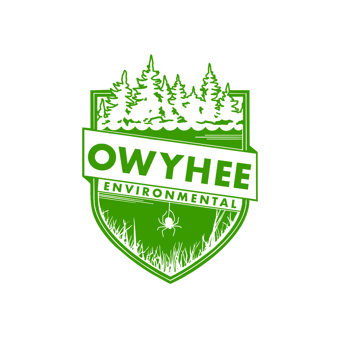 Owyhee Environmental logo