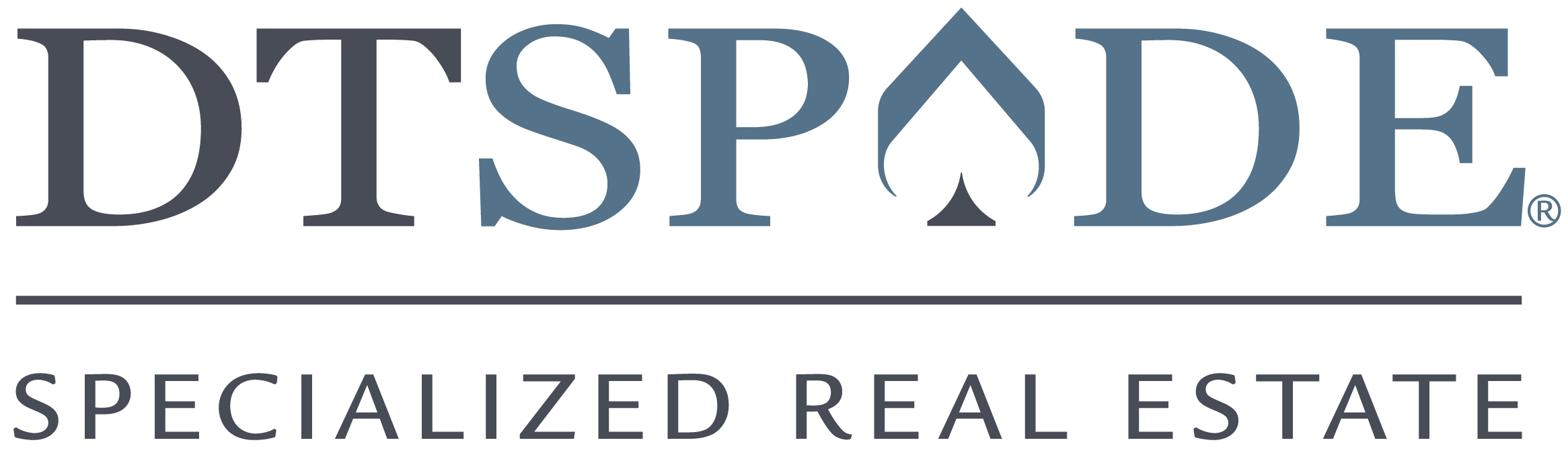 DTSpade logo