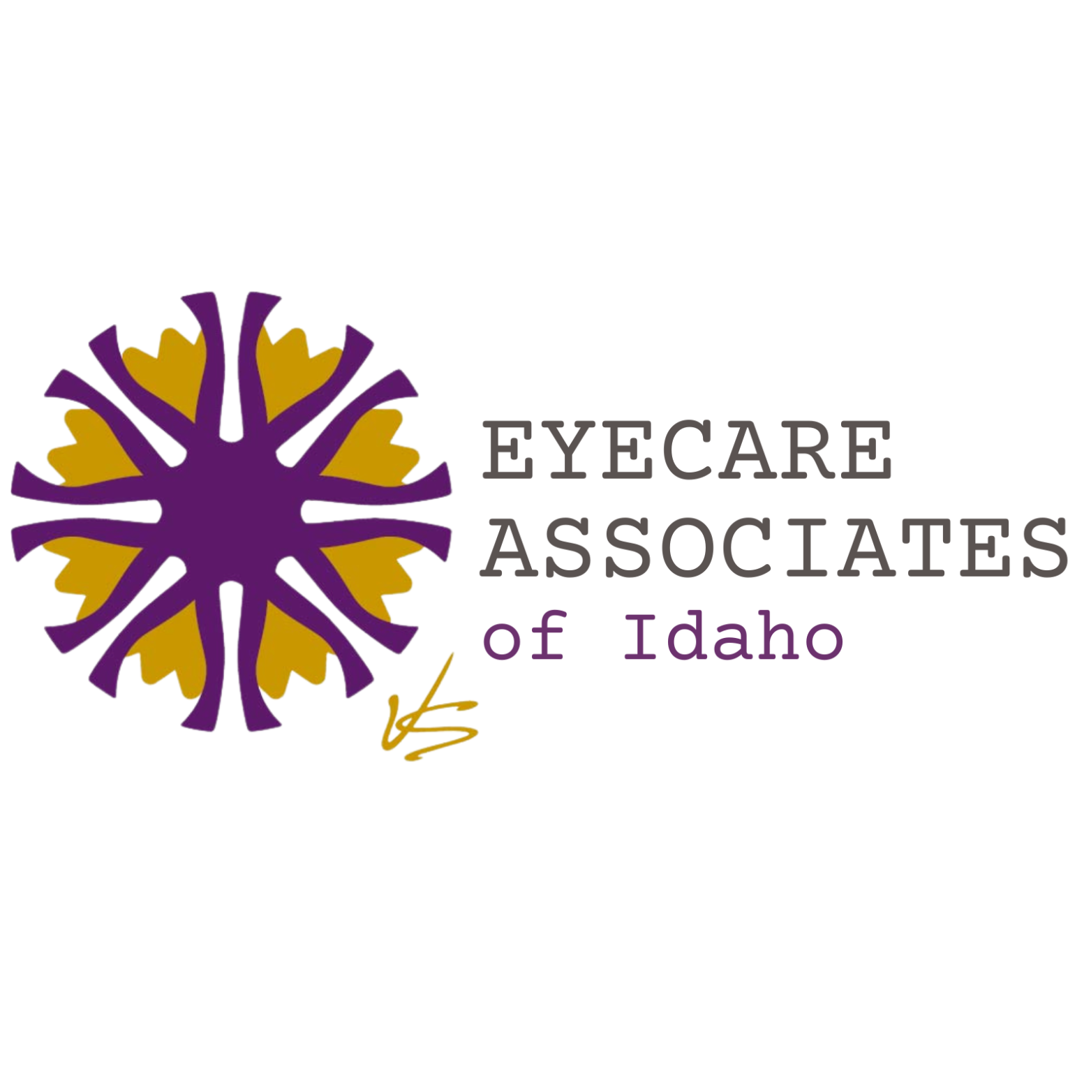 Eyecare Associates of Nampa logo