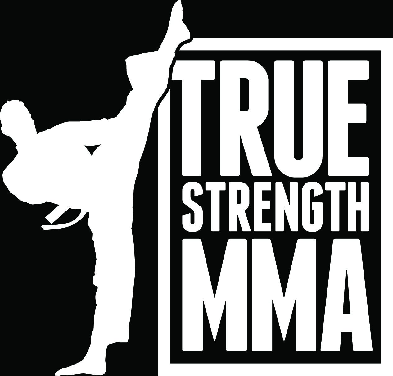 True Strength MMA logo