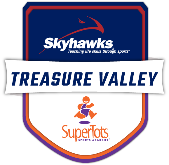 Skyhawks Sports Academy logo