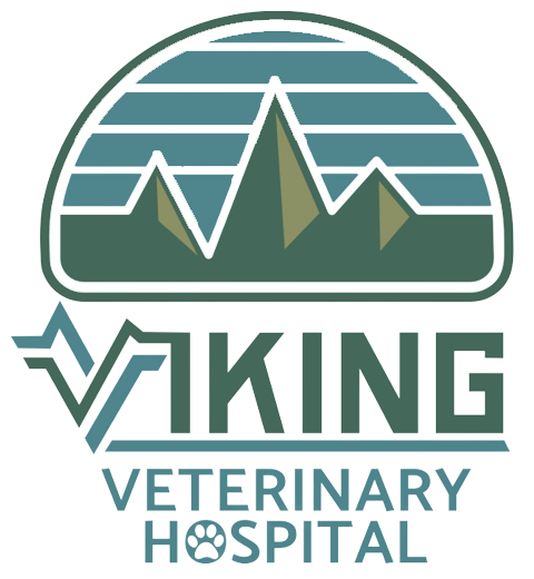 Viking Veterinary Hospital logo