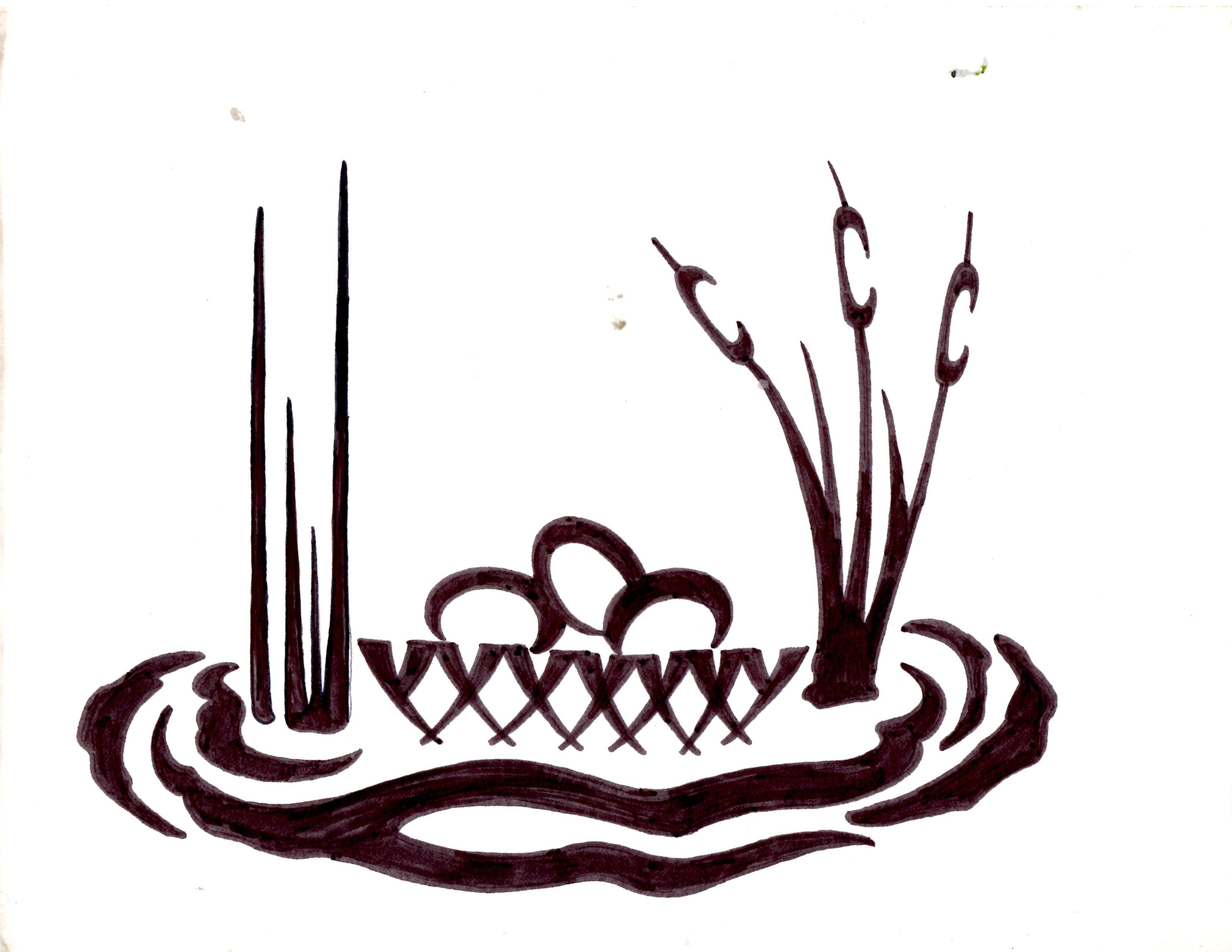 Avian Sanctuary and Protection logo