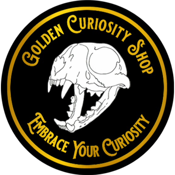 Golden Curiosity Shop logo