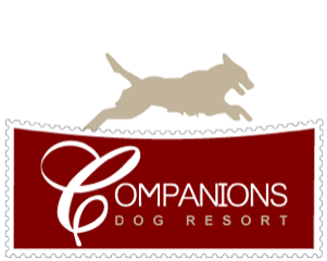 Companions Dog Resort logo