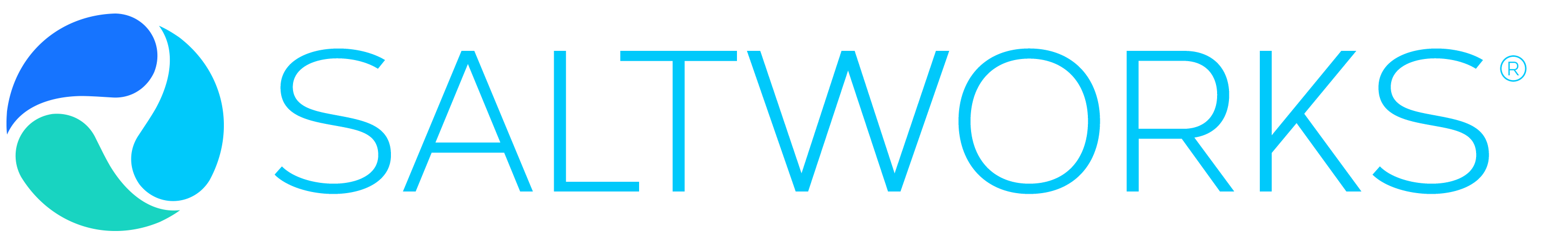 Saltworks logo