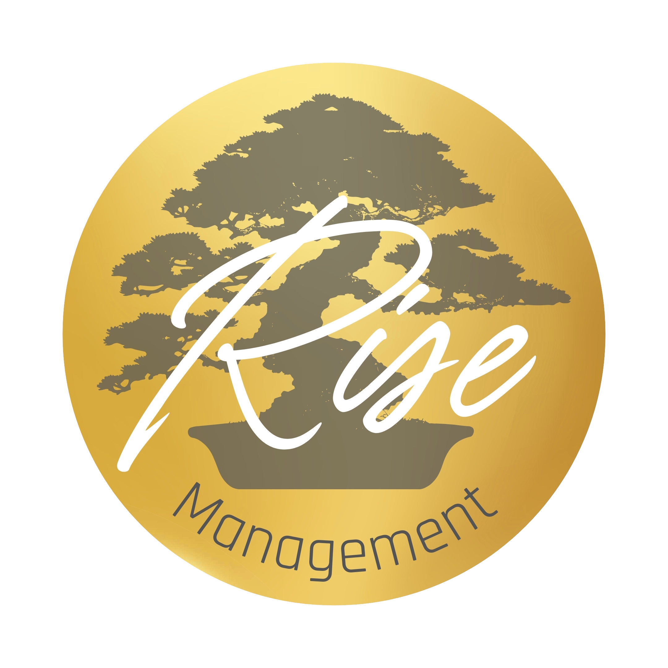 Rise Management logo