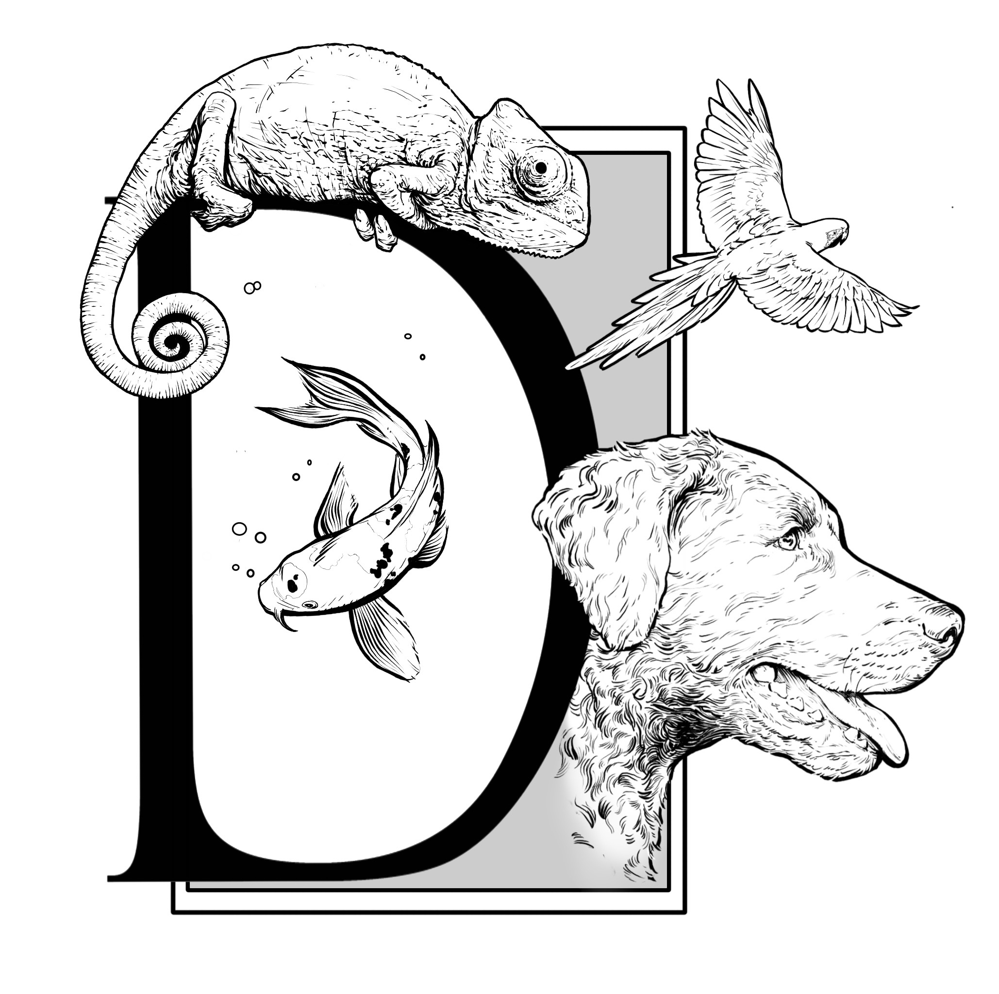 Duncan's Pet Shop logo