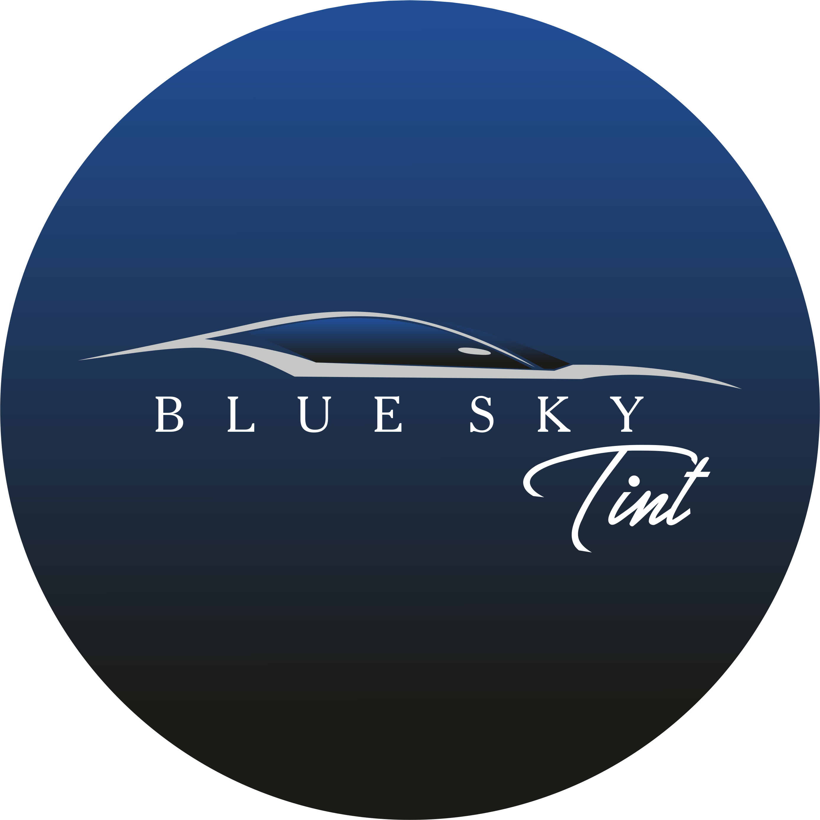 Blue Sky Tint logo