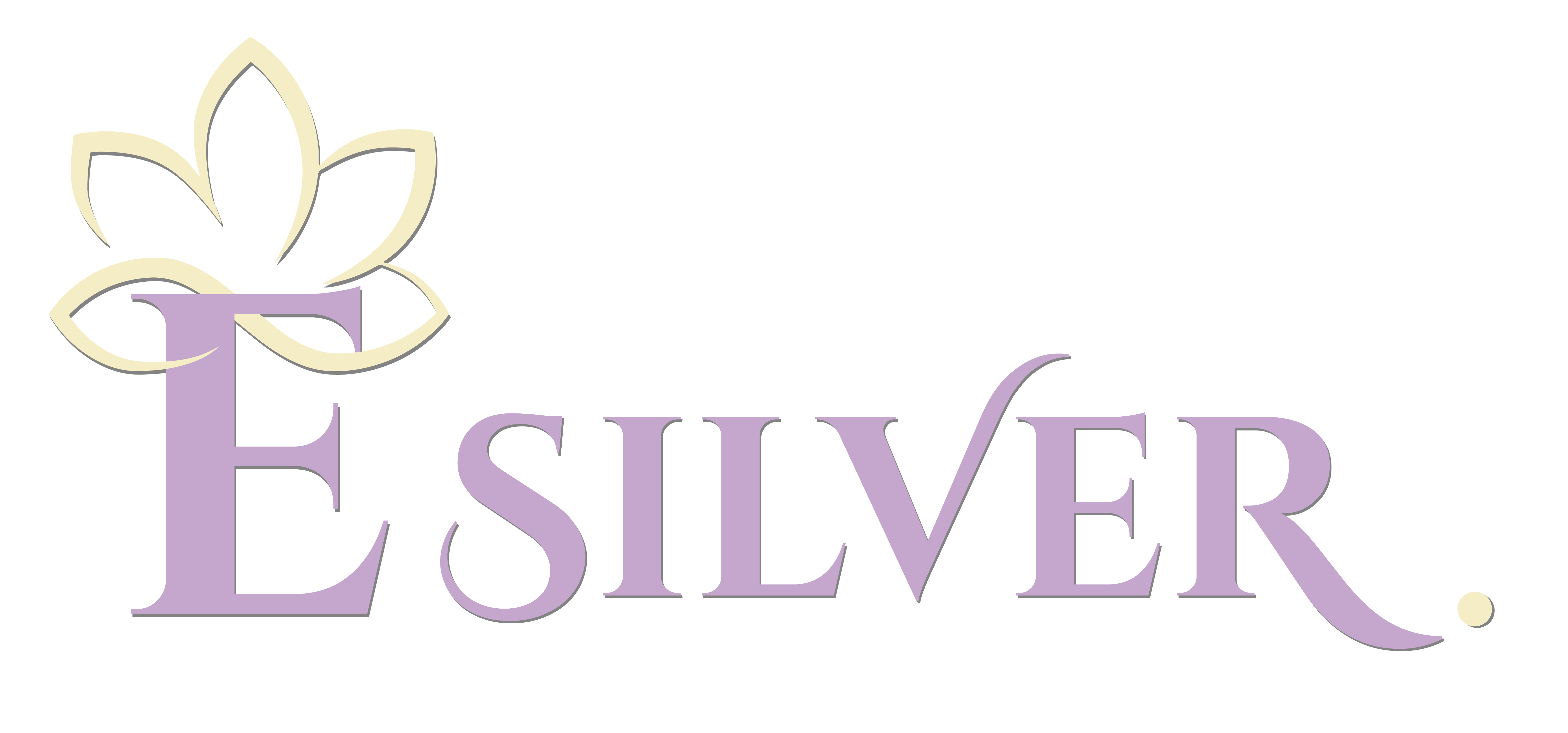 E Silver logo