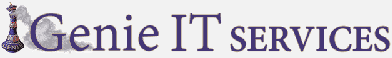 Genie IT Services logo