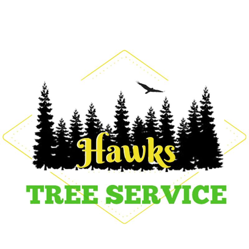 Hawks Tree Services logo