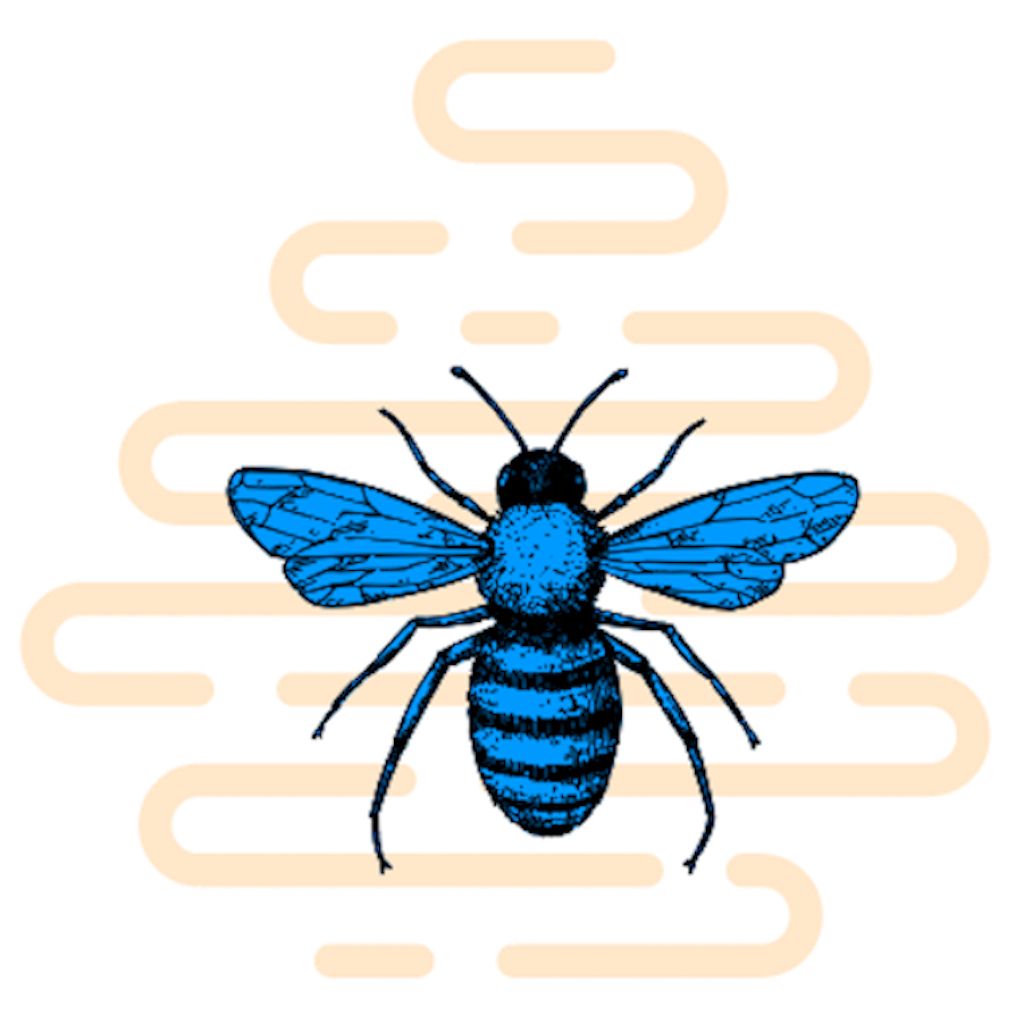 Blue Bee Bankruptcy Law logo